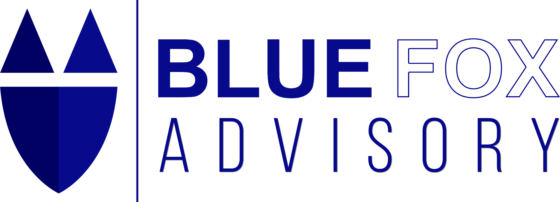 Blue Fox Advisory